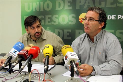 Unió de Pagesos pide al Govern una ley de caza catalana para acabar con la "plaga" de jabalíes
